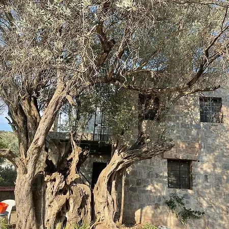 Βίλα Secret Garden Villas, Private Pool In Yalikavak